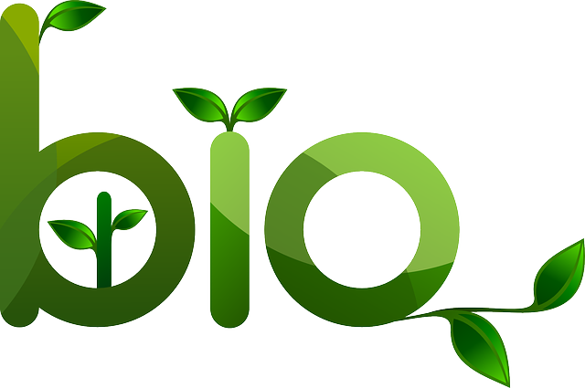 Bio energie